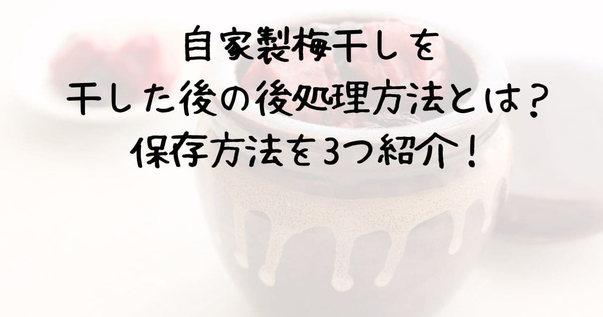 自家製梅干しを干した後の後処理方法とは？保存方法を3つご紹介！